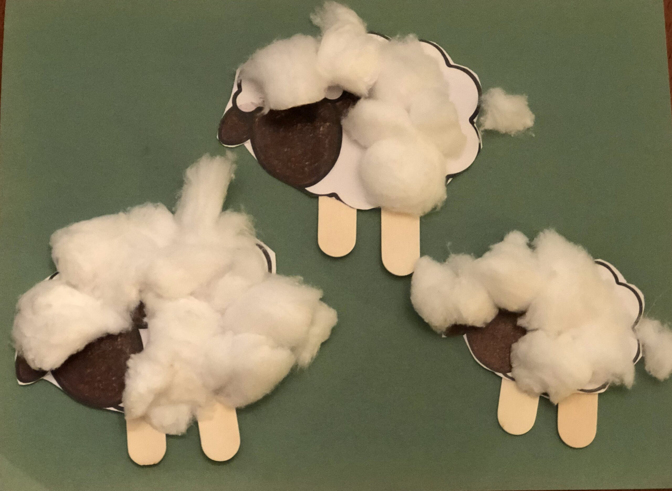 Fluffy Sheep